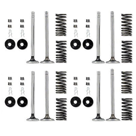 Aftermarket Cylinder Head Valve Kit (LP) ENE10-0007